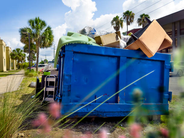 Best Basement Cleanout Services  in New Madrid, MO